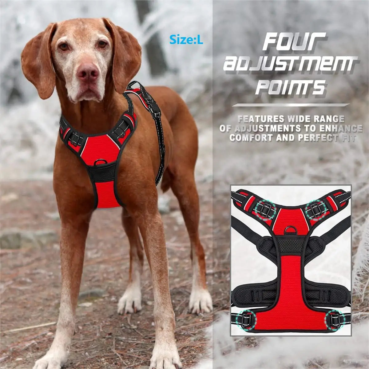 Power Walk Pro Heavy Duty Harness