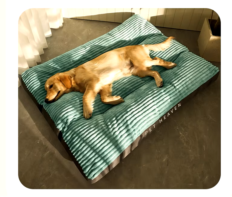 Winter Haven Pet Bed